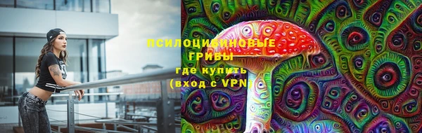 марки lsd Богданович